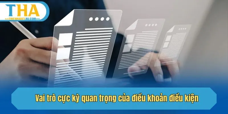 Vai trò cực kỳ quan trọng của điều khoản điều kiện?